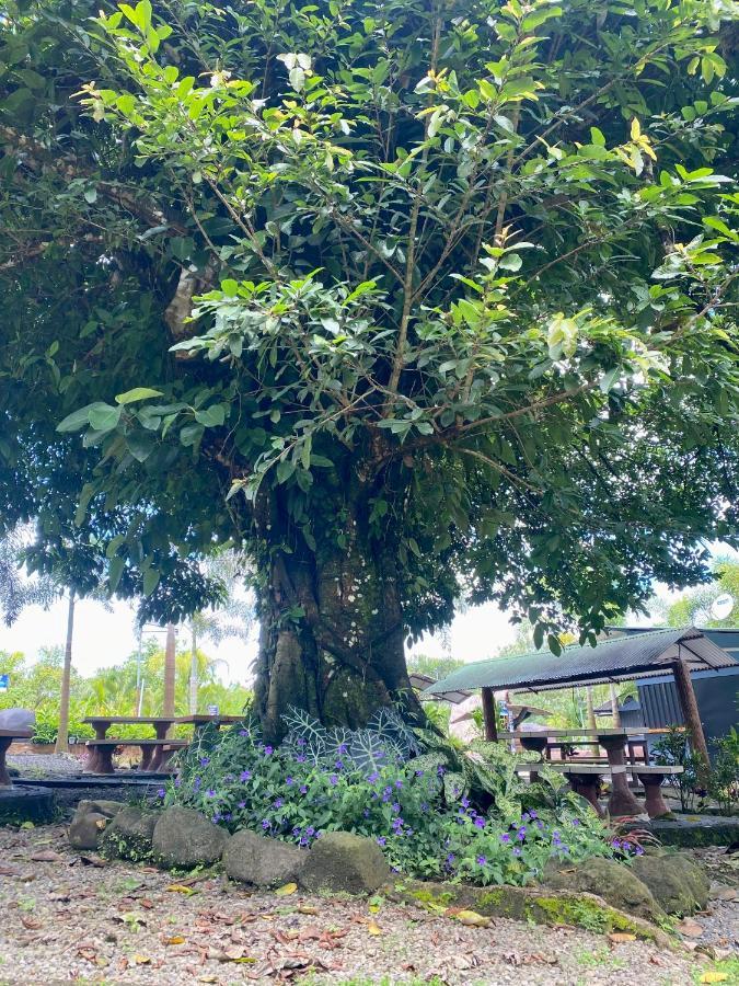 Termales Del Arenal Hotel La Fortuna Exterior photo